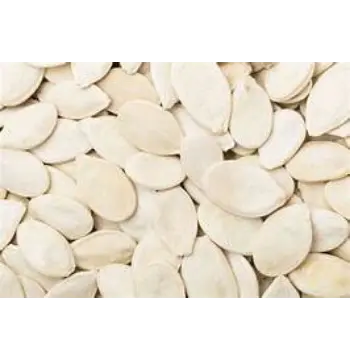 Fresh Squash Seedr